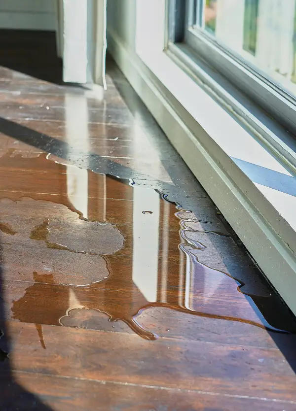 Professional Water Extraction