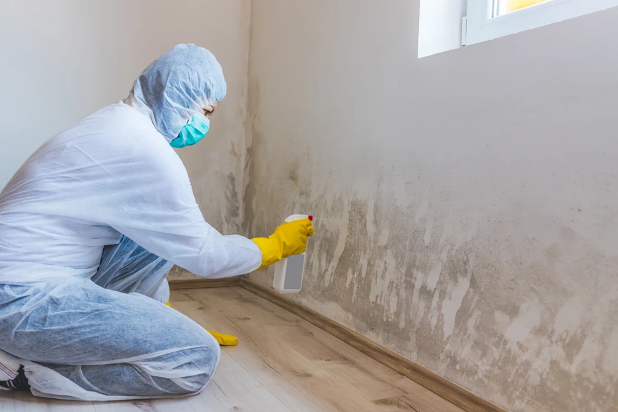 Experienced Mold Remediation Potomac, MD Experienced Mold Remediation Potomac, MD