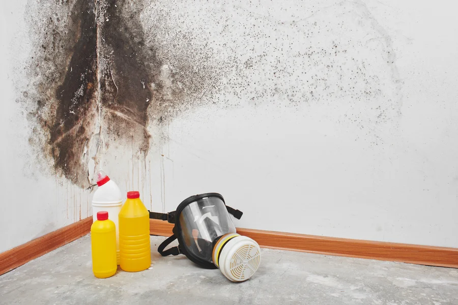 How Water Damage Leads To Hidden Mold Growth Potomac, MD How Water Damage Leads To Hidden Mold Growth Potomac, MD